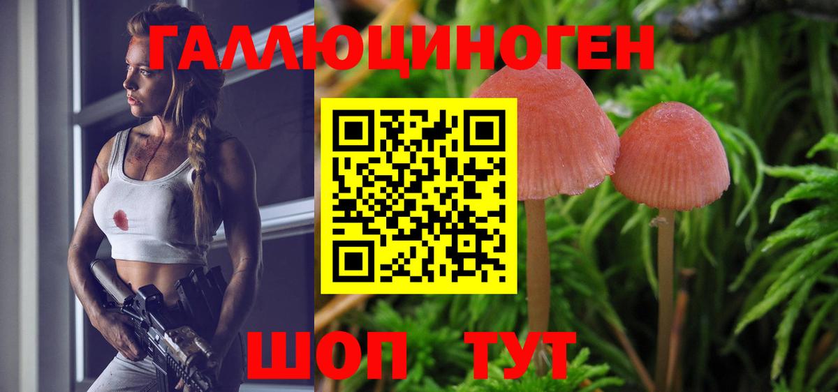 Псилоцибиновые грибы Psilocybine cubensis Карабулак