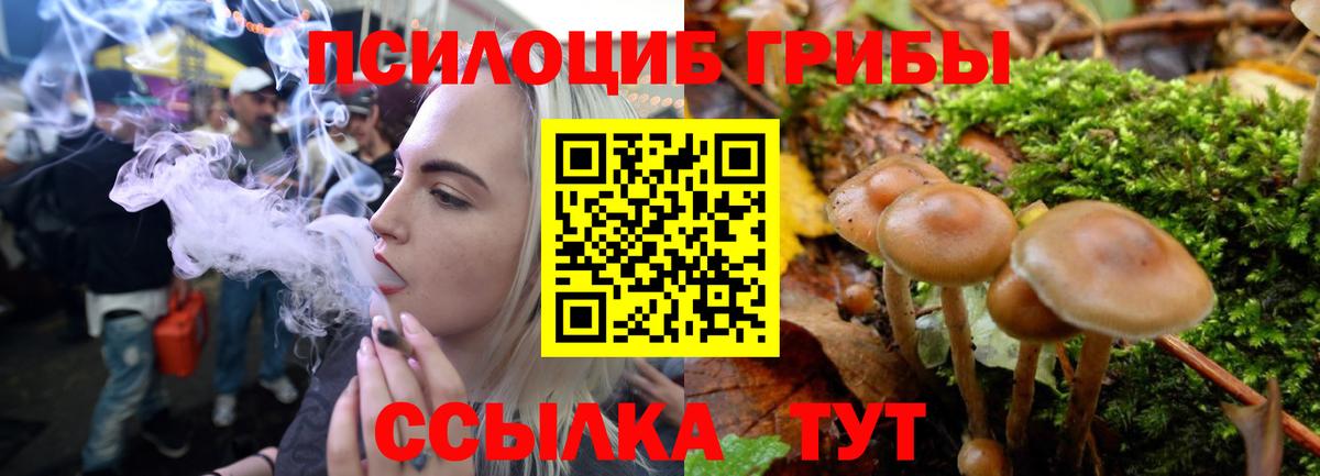 Псилоцибиновые грибы мухоморы  Вход с VPN  Карабулак  Галлюциногенные грибы Cubensis 